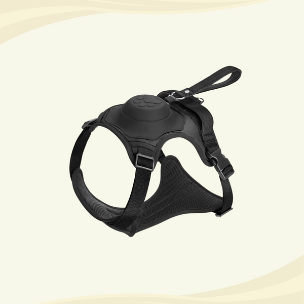 Black harness for medium to large dogs with a paw print design and a built-in leash, displayed against a light background.