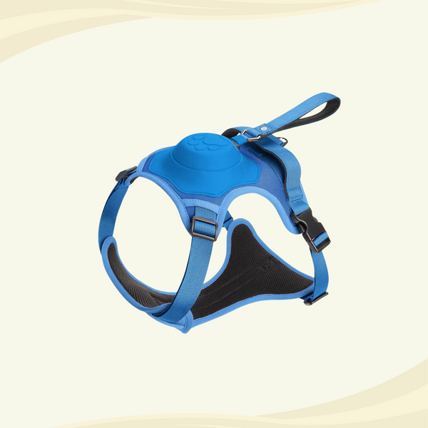 Blue harness for medium to large dogs with a paw print design and a built-in leash, displayed against a light background.