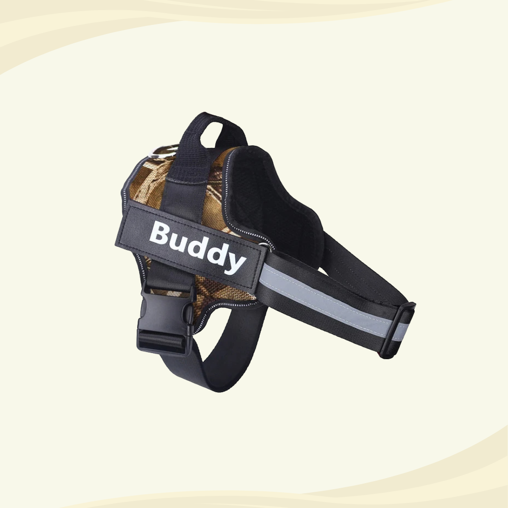 Personalized Dog Harness