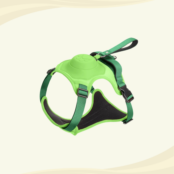 Green harness for medium to large dogs with a paw print design and a built-in leash, displayed against a light background.