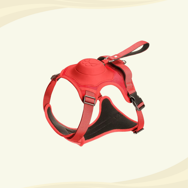 Red harness for medium to large dogs with a paw print design and a built-in leash, displayed against a light background.